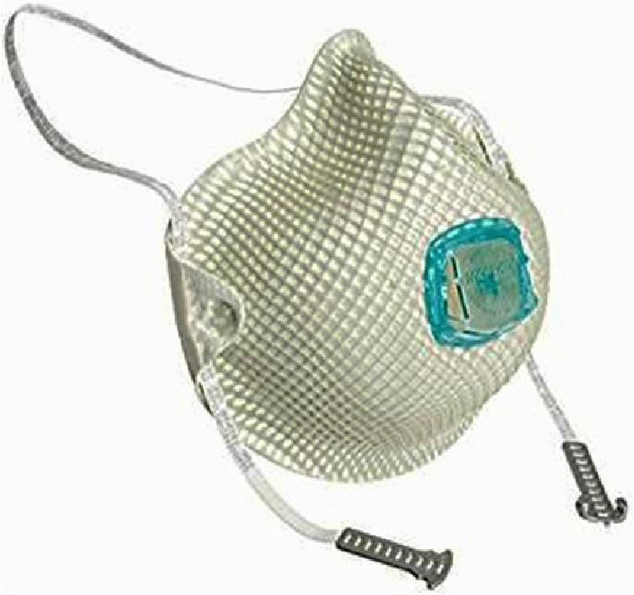 Moldex Mask